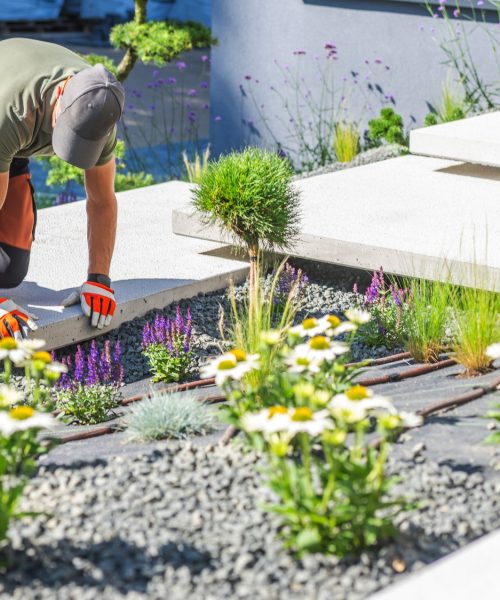 Gardener Planting Flowers in a Modern Landscape Design on a Sunny Day With Stone Pathways