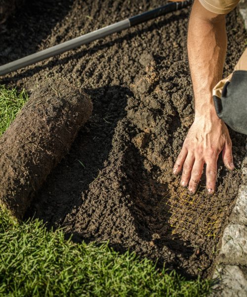 Underground Garden Fencing